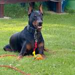 Ersteller:in Michelle Profilbild