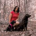 Ersteller:in Danica Profilbild