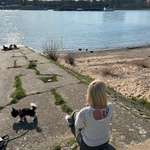 Ersteller:in Nicole Profilbild