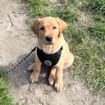 Ersteller:in Christin Profilbild