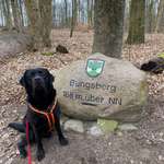 Ersteller:in Tobias Profilbild