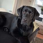 Ersteller:in Nadine Profilbild