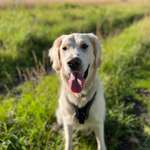 Ersteller:in Nina Profilbild