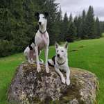 Ersteller:in Kerstin Profilbild