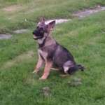 Ersteller:in Monika Profilbild