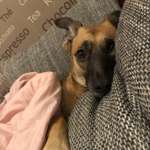 Ersteller:in Chiara darleene  Profilbild