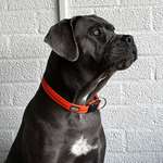 Ersteller:in Nicole Profilbild