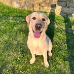 Ersteller:in Janine Profilbild