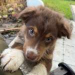 Ersteller:in Izabela Profilbild