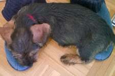 28. Handy-Fotochallenge - Damals und heute-Beitrag-Bild