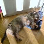 28. Handy-Fotochallenge - Damals und heute-Beitrag-Bild