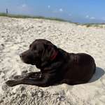 Ersteller:in Chris Profilbild