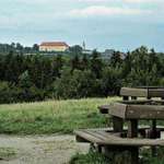 Hundeauslaufgebiet-Stadtweiher Dachau-Bild