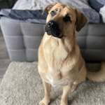 Ersteller:in Ira Profilbild