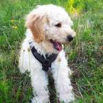 Ersteller:in Bea Profilbild