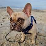 Ersteller:in Vivien Profilbild