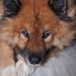 Ersteller:in Anja Profilbild