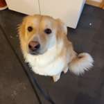 Ersteller:in Sandra Profilbild