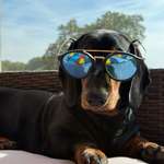 Ersteller:in Sandra Profilbild