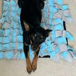 Ersteller:in Almut Profilbild