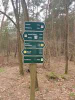 Hundeauslaufgebiet-Calauer Schweiz-Bild