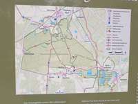 Hundeauslaufgebiet-Calauer Schweiz-Bild