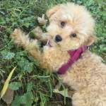 Ersteller:in Jana Profilbild