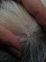 Weiß jemand was das ist?-Beitrag-Bild