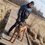 Ersteller:in Robert Profilbild