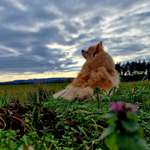 Ersteller:in Nana Profilbild