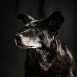 Ersteller:in Nad Profilbild