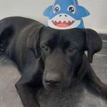 Ersteller:in Katerina Profilbild