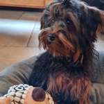 Ersteller:in Dagmar Profilbild