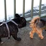 Ersteller:in Dawid Profilbild