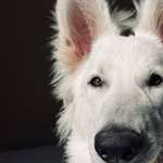 Ersteller:in Yessica Profilbild