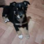 Ersteller:in Liane Profilbild