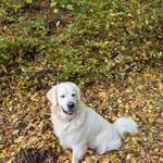 Ersteller:in Sophie Profilbild