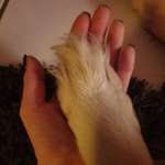 Ersteller:in Tanja Profilbild