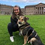 Ersteller:in Yoke Profilbild