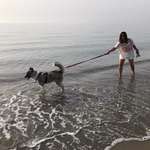 Ersteller:in Maria Profilbild