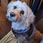 Ersteller:in Christiane Profilbild