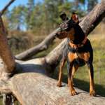 Ersteller:in Meike Profilbild