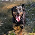 Ersteller:in Aron Profilbild