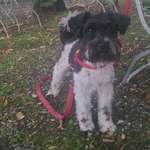 Ersteller:in Manuela Profilbild