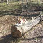 Ersteller:in Melissa Profilbild