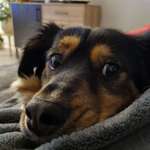 Ersteller:in Robert Profilbild