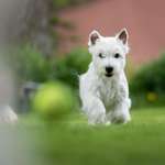 Ersteller:in Diego Profilbild