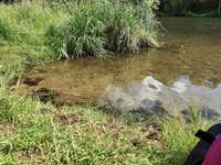 Hundeauslaufgebiet-Stich-Kanal Büchen-Bild