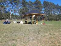 Hundeauslaufgebiet-Hundefreilaufplatz Bad Bevensen-Bild