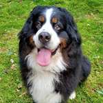 Ersteller:in Stefanie Profilbild